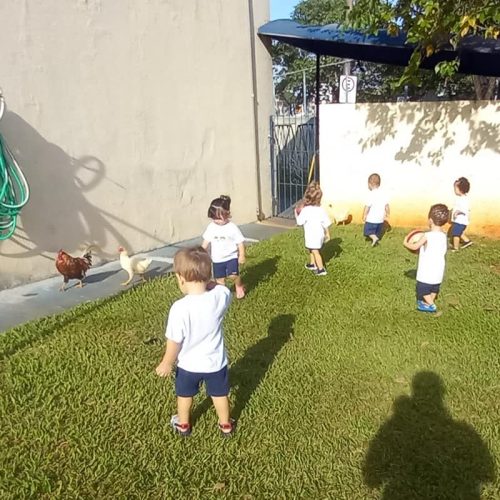 427987803_884278020156454_2840934913358748_n